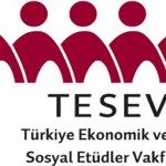 TESEV: Anayasa önerileri geleceği kurmuyor, sorunlara çözüm arıyor