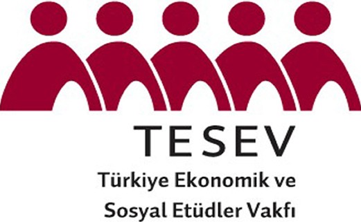 TESEV: Anayasa önerileri geleceği kurmuyor, sorunlara çözüm arıyor