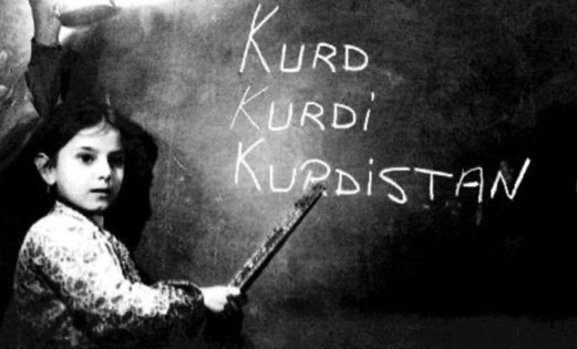 'Google Sözlüğü'nde Kürtçe de yer alsın' kampanyası