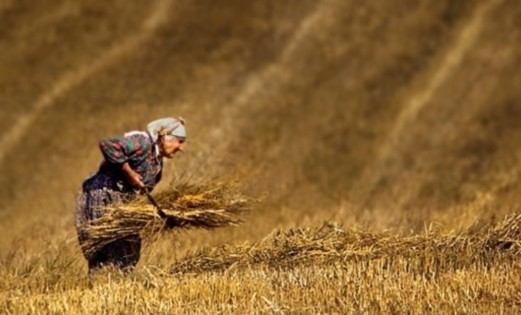 Kadınların işgücüne katılım oranı %31, erkeklerden %20 az maaş alıyorlar