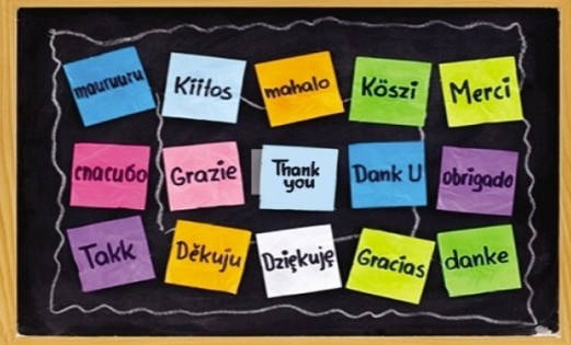 BM üyesi 113 ülkede birden çok resmi dil kullanılıyor
