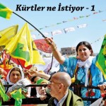 Kürtler Demokratik Özerklikle ne istiyor: ‘Devletin el değiştirmesiyle özgürlük, eşitlik, adalet gelmiyor’