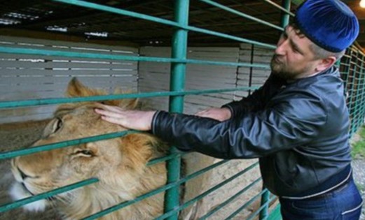 "Düğünde cep telefonunu kaybeden Çeçen "lideri" bin kişiyi gözaltına aldırdı" 